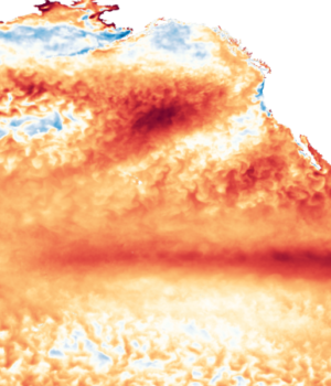 ssta-weekly-202625-color-bbox-73-125-123-75-39-375-61-875-full-res.png