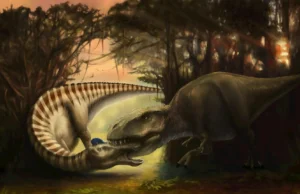 Este fóssil de dinossauro t. Rex captura os momentos finais do ataque