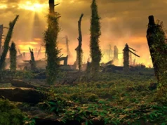 Samambaias antigas transformaram a Europa Triássica em um incêndio florestal