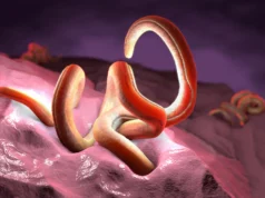 Os cientistas descobriram que um nutriente não pode sobreviver sem parasitas benéficos