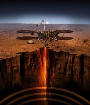 uC5YVLLj8dsmH3JC49xFYZ-2000-80.jpg