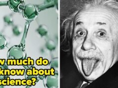 Quiz de curiosidades sobre biologia | Questionários do BuzzFeed