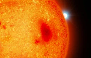 Astrônomos acabam de descobrir quatro estrelas anãs brancas escondidas perto da Terra
