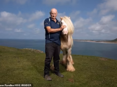 O National Trust removeu fazendeiros que pastavam cavalos do belo local costeiro após uma disputa de 100 anos