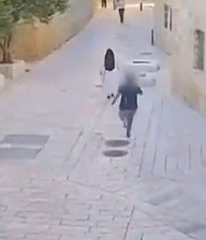 108304253-16084531-The_man_ran_up_to_her_as_she_was_walking_before_shoving_her_down-m-6_178784126665.avif