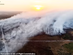Incêndios recordes ligam Rewilding: Eco-dogma responsabilizado por transformar o país em uma caixa de pólvora, depois de 1.017 incêndios já este ano
