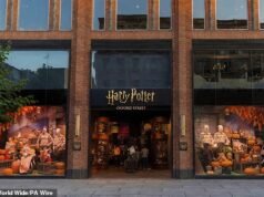 O primeiro vislumbre da loja oficial de Harry Potter na Oxford Street pode significar o fim das lojas piratas não licenciadas que assolam Londres