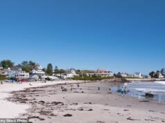 Criança desaparece na praia do Maine porque os pais estavam muito ocupados mexendo no telefone … O que aconteceu com o jovem depois que ele foi devolvido em segurança deixou a polícia furiosa