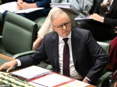 ‘Bem-estar financiado pelos contribuintes’: Albanese usa frase outrora impensável de investidor descalço para descrever o mercado imobiliário australiano – enquanto os preços das casas despencam sob seu comando