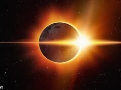 Revelado: coisas estranhas que acontecerão durante o eclipse solar desta noite – desde animais ficando em silêncio até crescerem em acidentes de trânsito