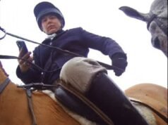 A caçadora de raposas usou um telefone celular para atacar o vândalo antes de derrubá-lo com um cavalo, ouviu o tribunal