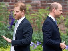 ‘Será muito difícil para William conhecer Harry, mesmo para honrar a memória de Diana’: Eles juraram que ‘nenhuma dor interferirá na continuação do legado de sua mãe juntos’… Mas amigos contam ao escritor real Phil Dampier como Duke está ‘passado’ para o futuro rei