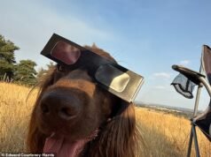 Foto tirada por você: os leitores do Daily Mail mostram como gostaram do dramático eclipse solar da Grã-Bretanha