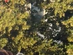 No momento em que as pessoas usam peneiras em parques lotados de Londres para assistir ao eclipse… e ele não está sozinho