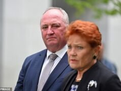 Barnaby Joyce diz que One Nation é ‘um dos partidos mais gays da Austrália’ após comentários polêmicos do candidato