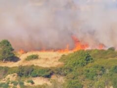 Incêndio ‘assustador’ ameaça clube de golfe no vilarejo favorito de Hollywood na Cornualha, enquanto incêndios atingem a Grã-Bretanha atingida pela seca