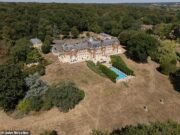 O proprietário do West Ham, David Sullivan, não precisa se preocupar com a proibição das mangueiras, já que a enorme piscina de sua mansão ainda está cercada por vegetação.