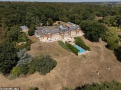 O proprietário do West Ham, David Sullivan, não precisa se preocupar com a proibição das mangueiras, já que a enorme piscina de sua mansão ainda está cercada por vegetação.