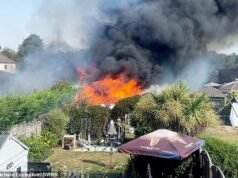 Seis jardins, incluindo galpões e sebes, foram destruídos pelo fogo – depois que um grande incêndio destruiu seis casas em uma cidade galesa