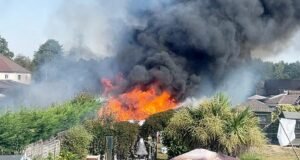 Seis jardins, incluindo galpões e sebes, foram destruídos pelo fogo – depois que um grande incêndio destruiu seis casas em uma cidade galesa