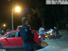 Policiais australianos entregam a menina no banco de trás do carro depois que o pai horrorizado é parado
