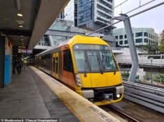 Caos no trem de Sydney: passageiros presos e corte de energia após queda de fios aéreos