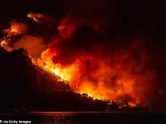 Europa em chamas: Incêndios florestais mortais varrem a Croácia e o continente, evacuando turistas de resorts gregos e vilas francesas