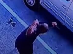 Um policial do Texas é repetidamente atacado por um pássaro raivoso em um estacionamento fora de seu bairro.