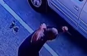 Um policial do Texas é repetidamente atacado por um pássaro raivoso em um estacionamento fora de seu bairro.