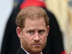 O príncipe Harry para de pagar a Centebele do fundo memorial de Diana enquanto desvia dinheiro para instituições de caridade com elefantes