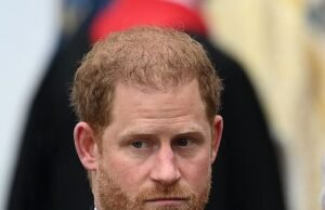 O príncipe Harry para de pagar a Centebele do fundo memorial de Diana enquanto desvia dinheiro para instituições de caridade com elefantes