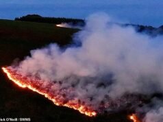 Vinte incêndios assolaram Gales do Sul enquanto bombeiros exaustos lutavam contra condições de seca, reforçados por 200 soldados