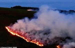 Vinte incêndios assolaram Gales do Sul enquanto bombeiros exaustos lutavam contra condições de seca, reforçados por 200 soldados
