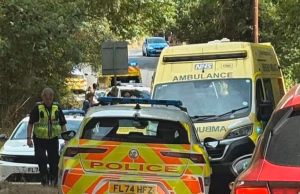 Homem de 55 anos morre depois que cachorro o morde na calçada – enquanto a polícia prende o proprietário sob suspeita de assassinato