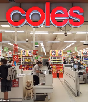 110678303-16057109-Coles_and_Woolworths_have_tested_the_use_of_facial_recognition_t-m-16_17869551674.avif