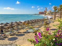 Alerta de saúde da Costa del Sol, pois turistas são orientados a ficar fora da água nas principais praias depois que os nadadores sofrem reações cutâneas misteriosas