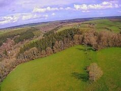 Um campo de batalha há muito perdido onde os anglo-saxões dizimaram um exército viking foi descoberto em Devon – incluindo o cemitério do infame nortenho Ube Ragnarsson.