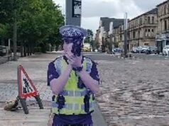 Não vê os bobbies na batida? Conheça PC Plywood… um dos 90 policiais de madeira