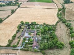 O jardim verde de Monty Don é um oásis verde enquanto a Grã-Bretanha luta contra uma seca recorde