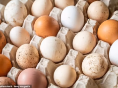 Alerta de ovo: um morto e 200 doentes em grande surto de Salmonella – veja como saber se o seu é seguro