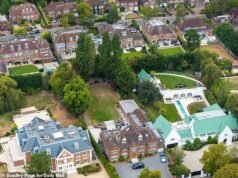 ‘Billionaire’ Row’ de Londres lida admiravelmente com a seca recorde, enquanto os jardins continuam sendo oásis de vegetação