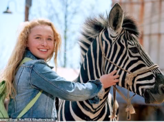 O trauma do devastador acidente com uma zebra assombrou Hayden Panettiere durante duas décadas antes de sua morte, aos 36 anos.