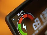 The Morning Poll: Os ministros deveriam intervir para reduzir ainda mais as contas de energia neste inverno?