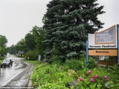 Walk Cidade canadense reconhece oficialmente as árvores como criaturas vivas com direitos: ‘nosso maior aliado’
