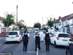 Homem é preso por ‘assassinato por incêndio em casa’ em trem na França depois que uma mulher morre e outras oito ficam feridas em um incêndio em Londres