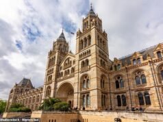 O Museu de História Natural reabre a sua galeria escondida… que está fechada há 83 anos