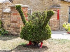 A polícia está caçando hooligans que ‘decapitaram’ as adoradas esculturas de topiaria da Peppa Pig