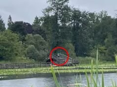 Senhora malvada é pega jogando lixo enorme em um lago deslumbrante cheio de patos… antes de ser extremamente rude com os espectadores que a confrontam