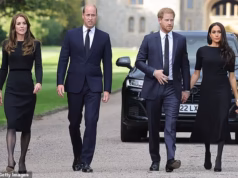 A ideia de que o cisne voltaria para roubar o trovão de seu irmão mais novo, William, deve ser irritante: Sarah Vine