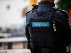 Homem russo-australiano acusado de interferência estrangeira